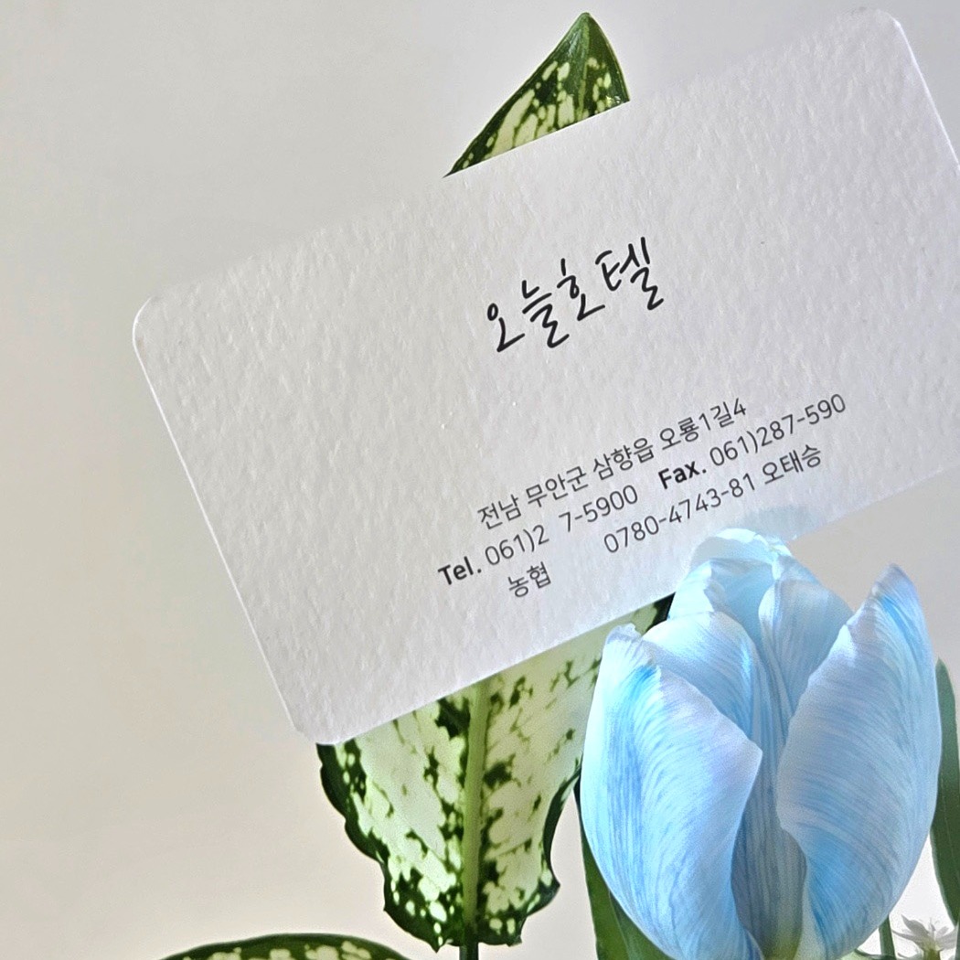 235149625_2pyrxMIK_c928ba0604eea26071caefc8b5be98eff5138457.jpg 이미지크게보기